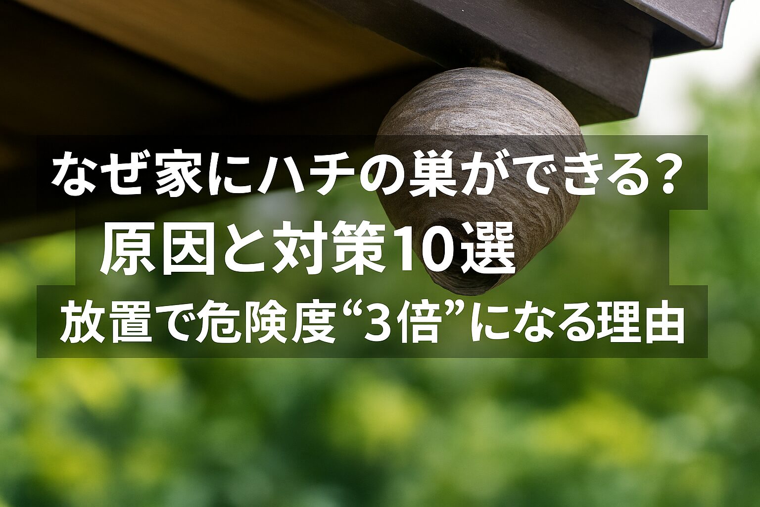 なぜ家にハチの巣ができる？原因と対策10選｜放置で危険度“3倍”になる理由も解説