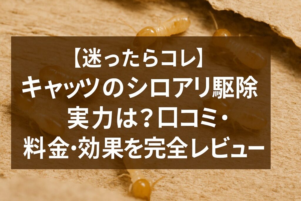 【迷ったらコレ】キャッツのシロアリ駆除の実力は？口コミ・料金・効果を完全レビュー
