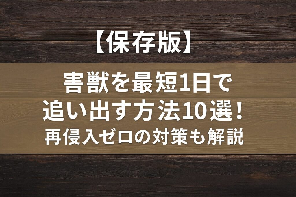 【保存版】害獣を最短1日で追い出す方法10選！再侵入ゼロの対策も解説